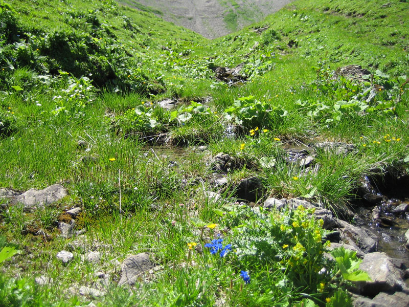 3-25-Eissee-Oytal